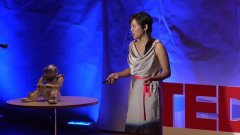 不喜好生物学或医学 