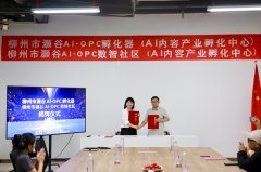 同时供给财产对接、市场资本共享等增 